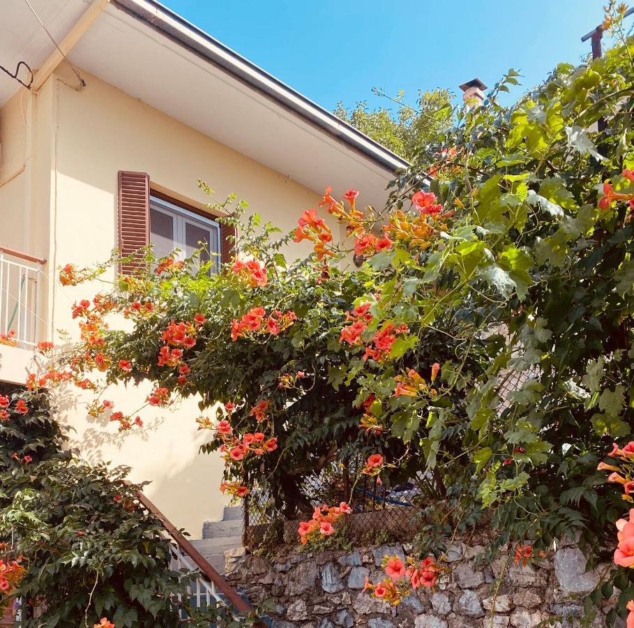 Ortansia Apartment Dimitsana Ngoại thất bức ảnh