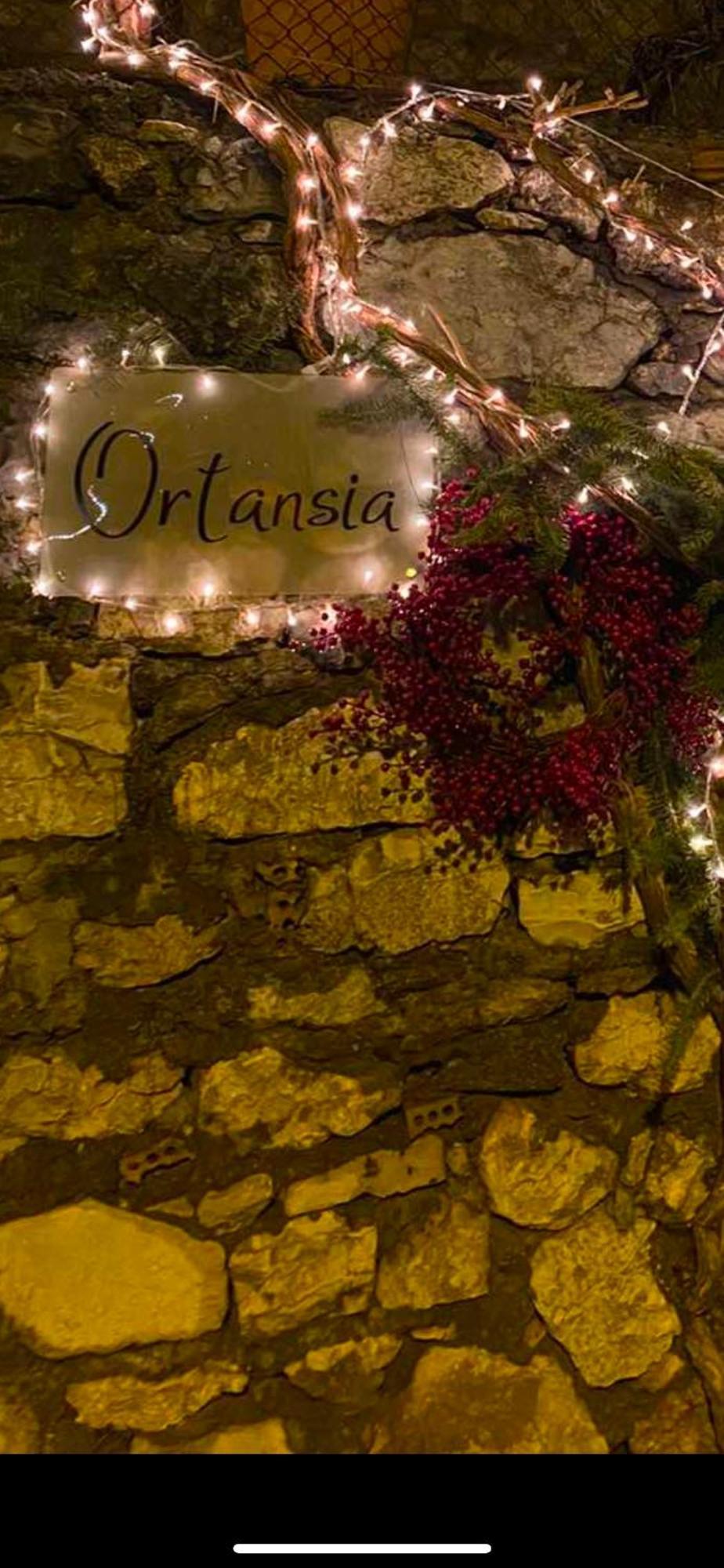 Ortansia Apartment Dimitsana Ngoại thất bức ảnh